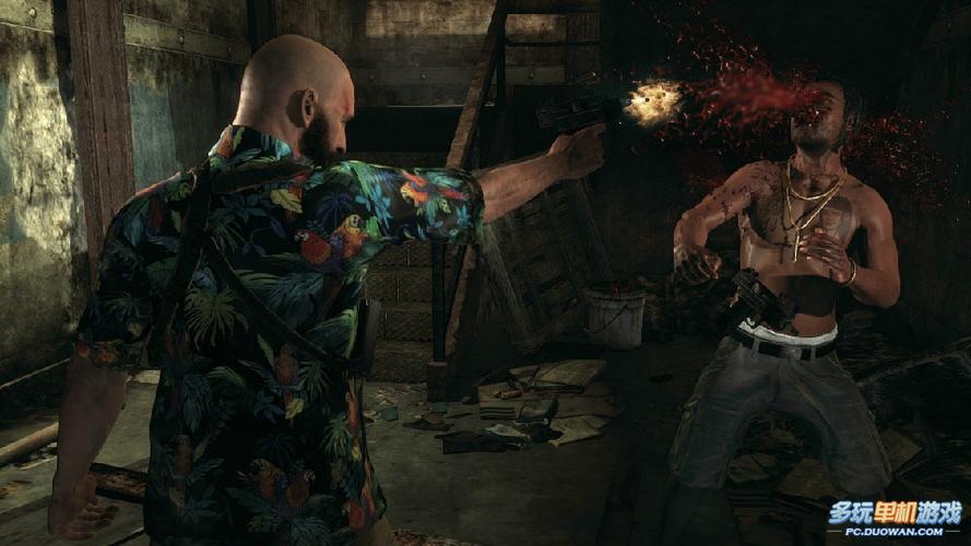 探索马克思佩恩3的魅力:游戏画面与剧情深度剖析