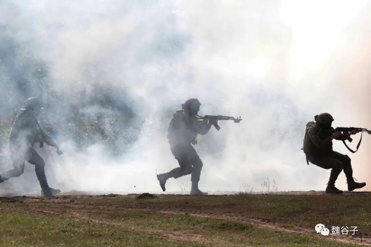 深度解析：女士官洗脑最新版本及影响