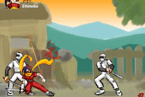 各式各样的女忍者小游戏，总有一款适合你！