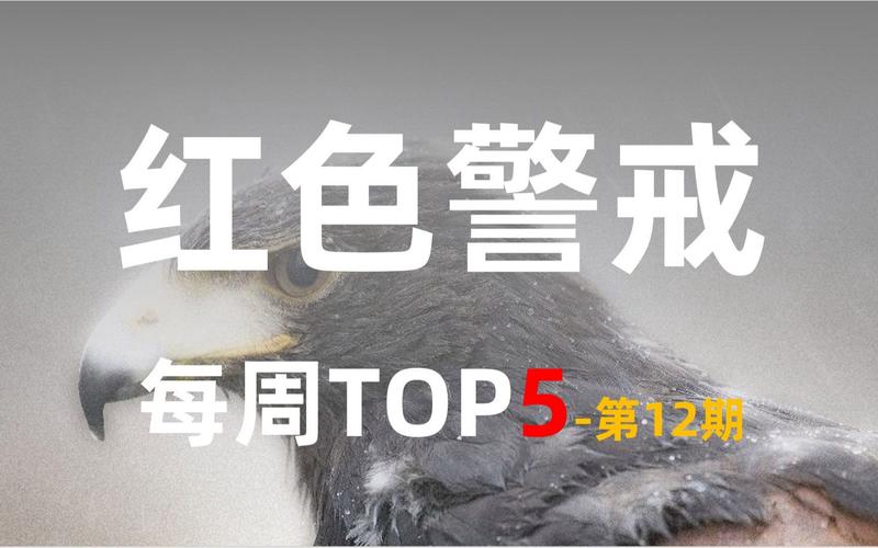 红警2显示问题解决:画面模糊、卡顿怎么办?