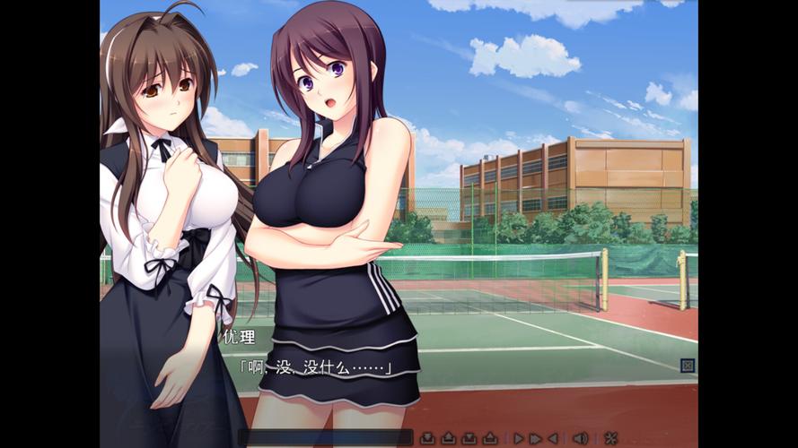 圣天之泪：各个版本游戏攻略与玩法详解