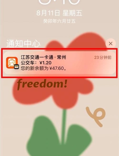我的常州app下载：便捷生活，一站式搞定