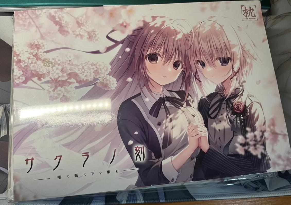 樱之刻游戏下载，最全的下载方式推荐