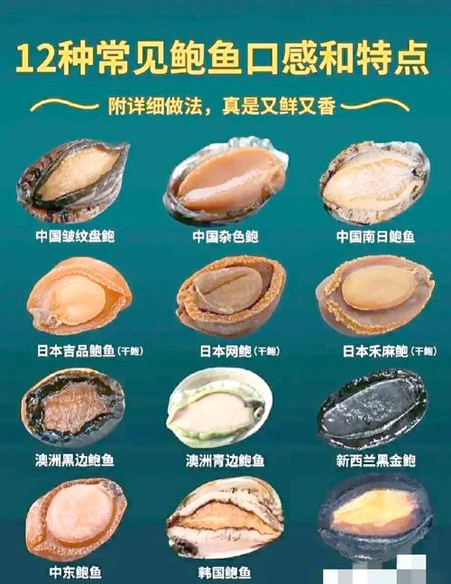 搞清鲍鱼的真实身份：它究竟是鱼还是贝壳？