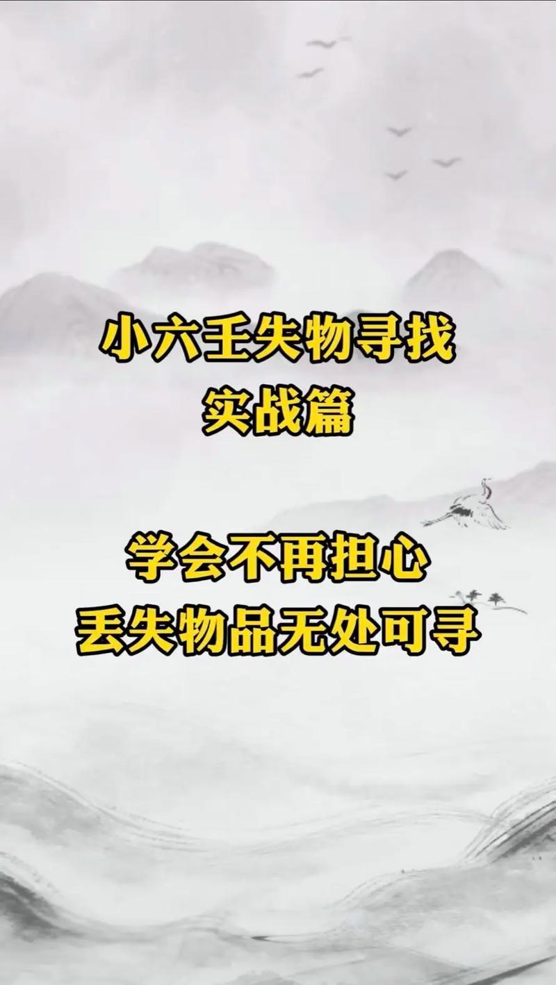 寻回的秘籍:各种物品丢失?教你快速找回!