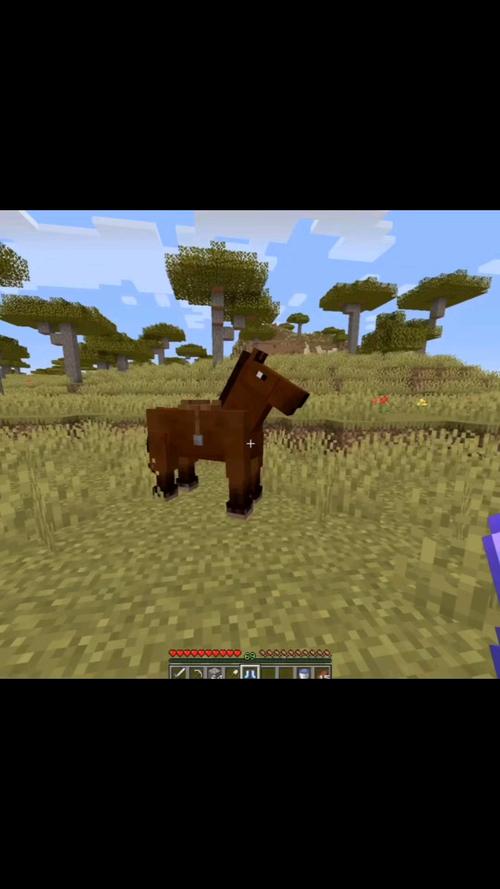 我的世界马匹养成指南：从新手到高手进阶攻略