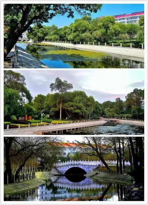 寻找夏日风情最新版本:最全夏日歌曲资源等你来