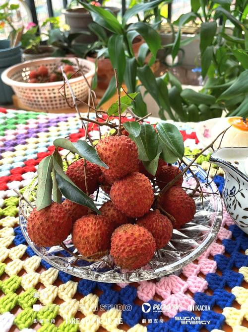 “日啖荔枝三百颗”的水果：是什么让苏轼如此热爱岭南？