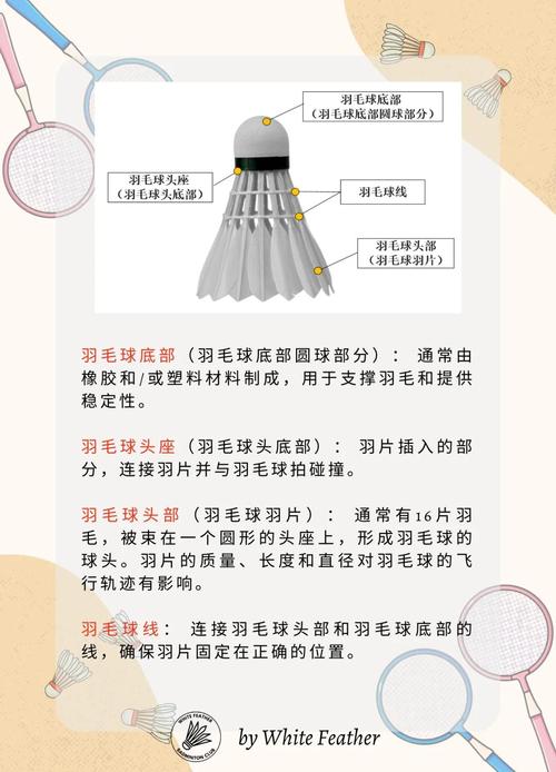 为什么羽毛球是16根羽毛？这其中有什么玄机？