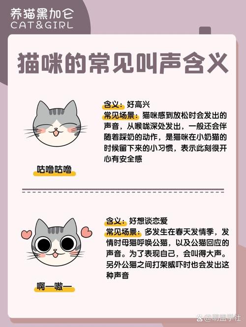 以下哪种动物的叫声和猫咪差不多？带你了解它们的叫声秘密！