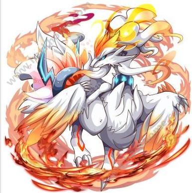 口袋妖怪白2周目：雷希拉姆等神兽等你来捕捉！