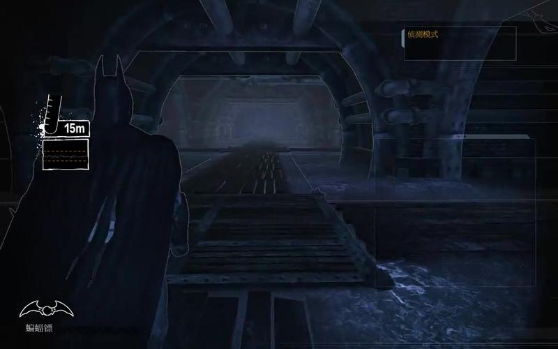 蝙蝠侠阿甘疯人院存档：找不到存档？这篇教你解决！