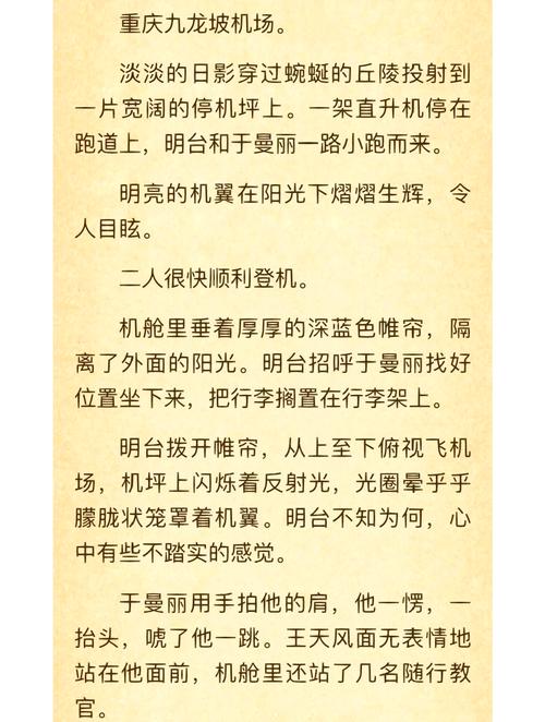 暗行者小说:惊险刺激的谍战故事