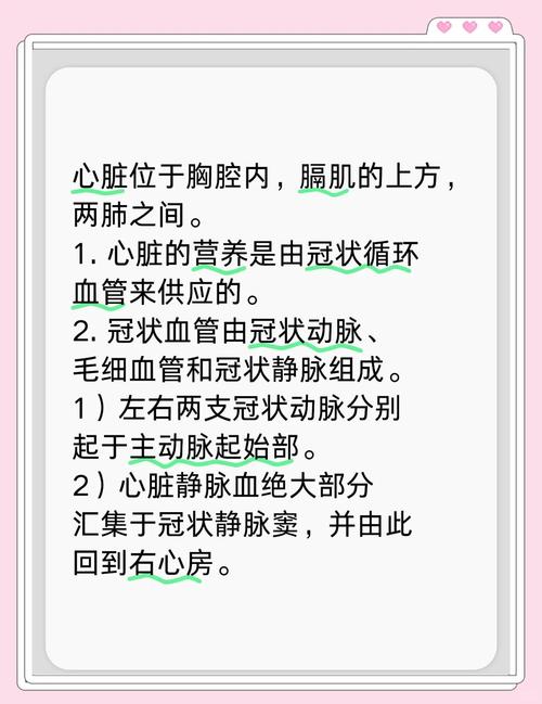 心脏问题游戏攻略技巧：高分秘籍，轻松获胜