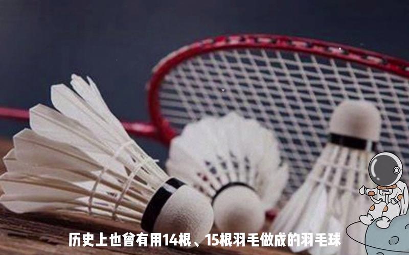 为什么羽毛球是16根羽毛？这其中有什么玄机？