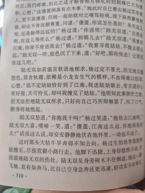 我们的60天杨过游戏攻略:新手玩家必看指南
