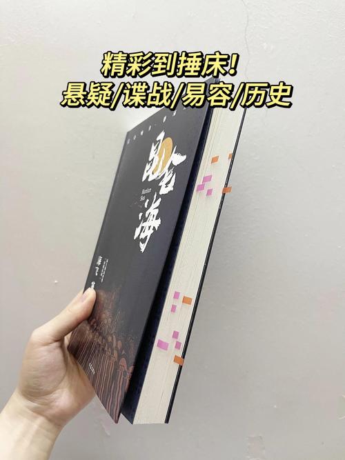 暗行者小说:惊险刺激的谍战故事