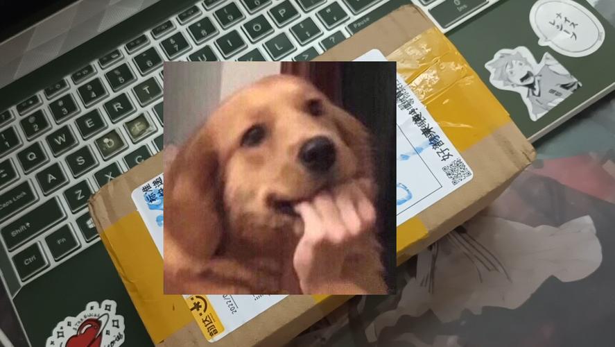 沉浸式体验室友1.3杨过游戏,你玩了吗?