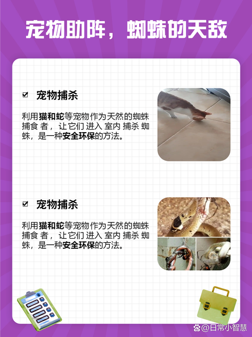 轻松获取臣蜘蛛的绢丝:妃蜘蛛狩猎技巧分享