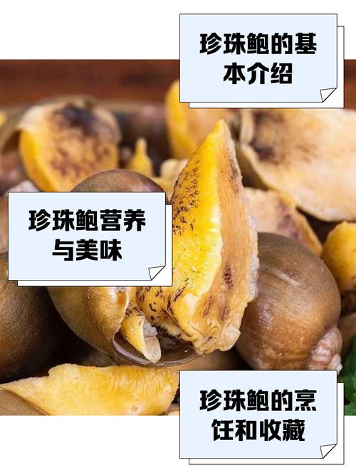 搞清鲍鱼的真实身份：它究竟是鱼还是贝壳？