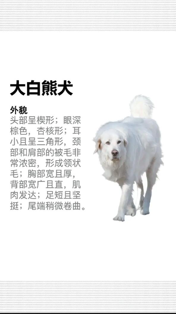 梦寐以求的白色北极熊缰绳,入手方法大揭秘!