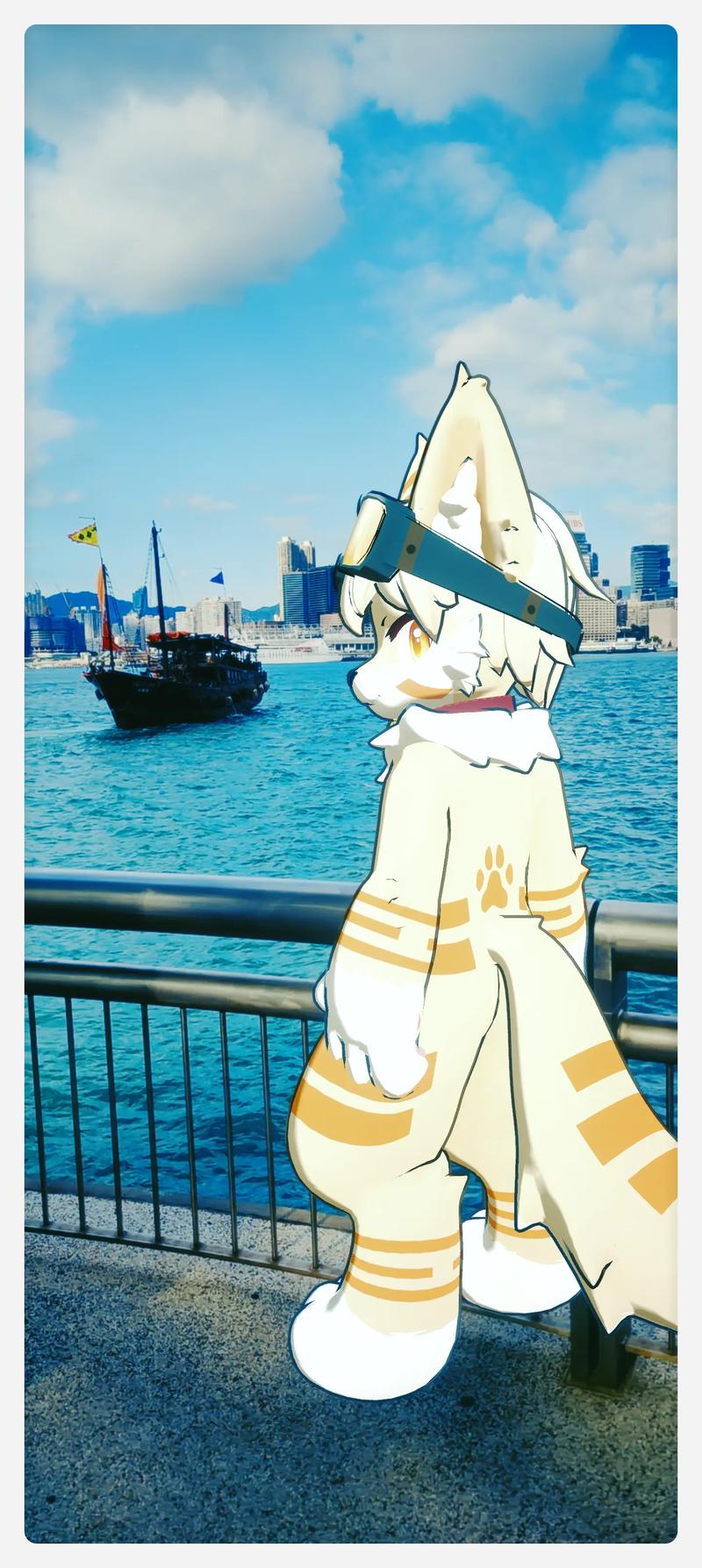 什么是福瑞控?小白也能轻松理解的福瑞控解释