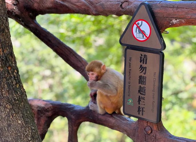 最快捷的锦绣谷到达路线？多种方法带你轻松抵达