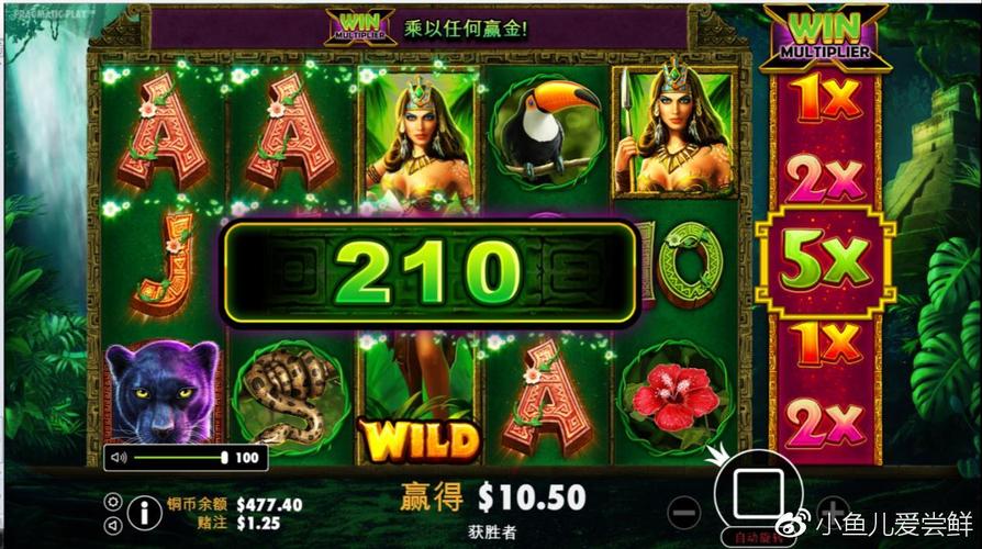 忠诚的妻子游戏介绍:剧情丰富引人入胜的游戏