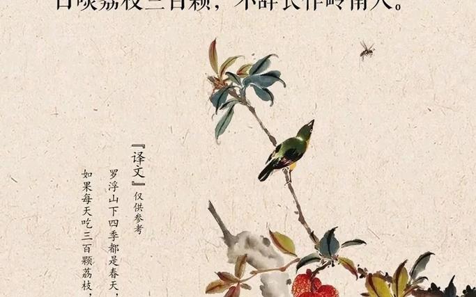 “日啖荔枝三百颗”的水果：是什么让苏轼如此热爱岭南？