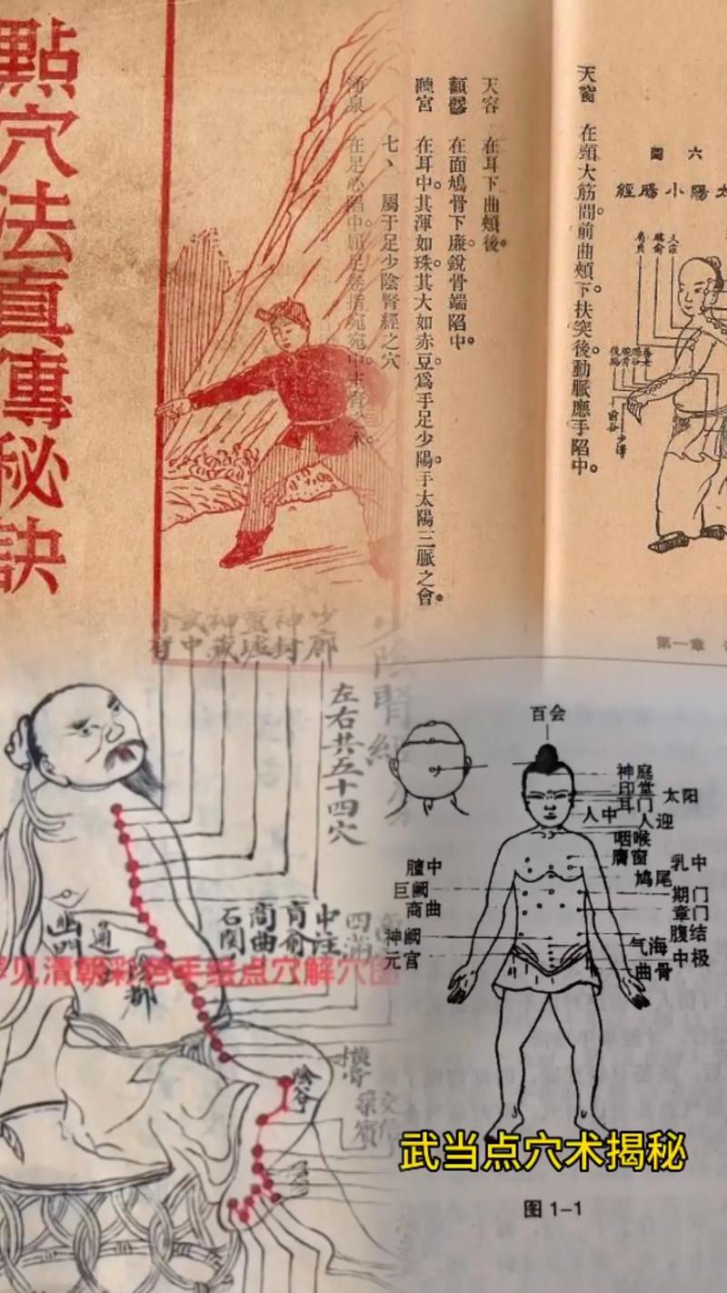 葵花宝典秘籍全解析：从残篇到失传，武林秘籍的兴衰史