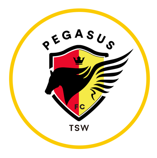 黑白直播APP：随时随地看体育赛事直播！