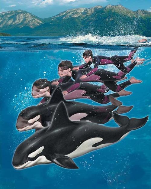 虚拟追踪者小说:精彩剧情,引人入胜的冒险!