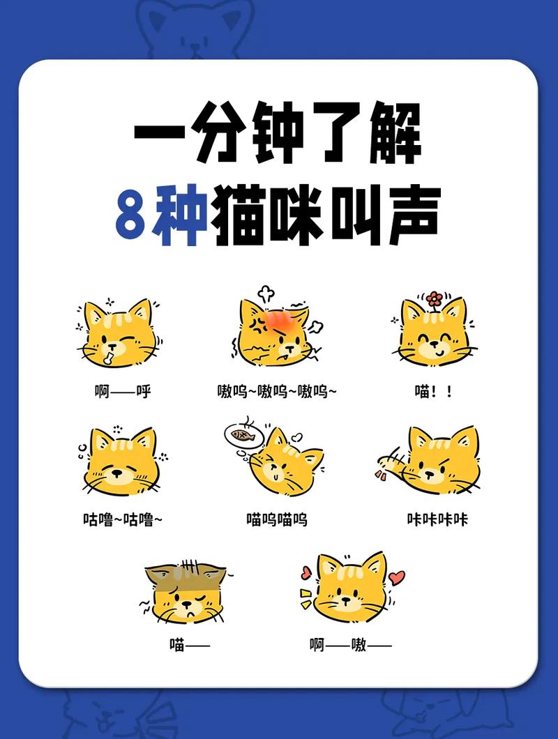 以下哪种动物的叫声和猫咪差不多？带你了解它们的叫声秘密！