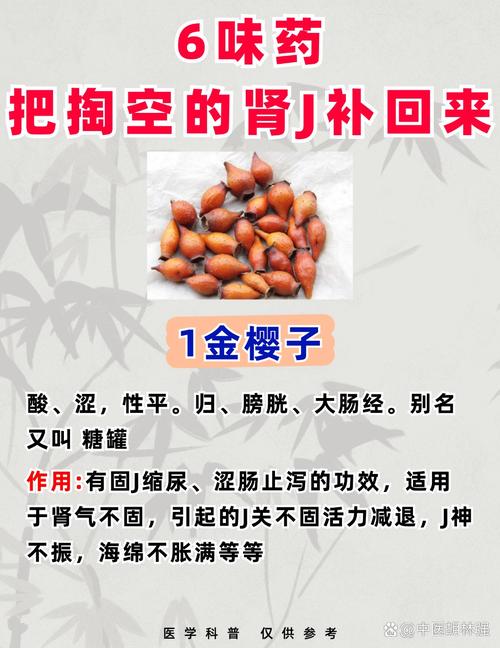 葵花宝典秘籍全解析：从残篇到失传，武林秘籍的兴衰史