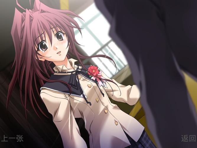 秋之回忆4游戏攻略:轻松玩转所有剧情路线