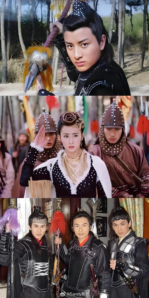 杨家将外传2.1剧情介绍：精彩看点不容错过