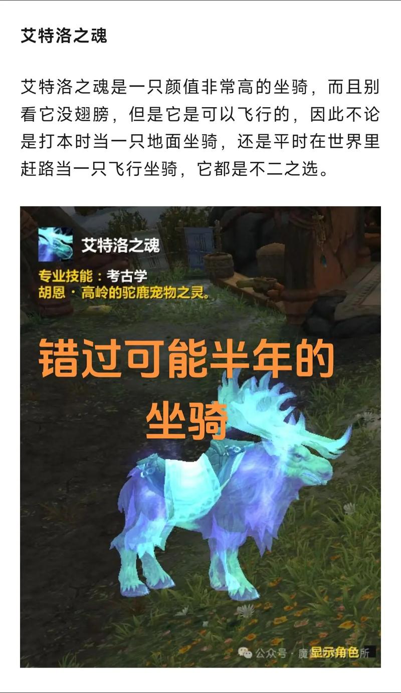 如何实现坐骑共享？魔兽世界坐骑共享教程详解