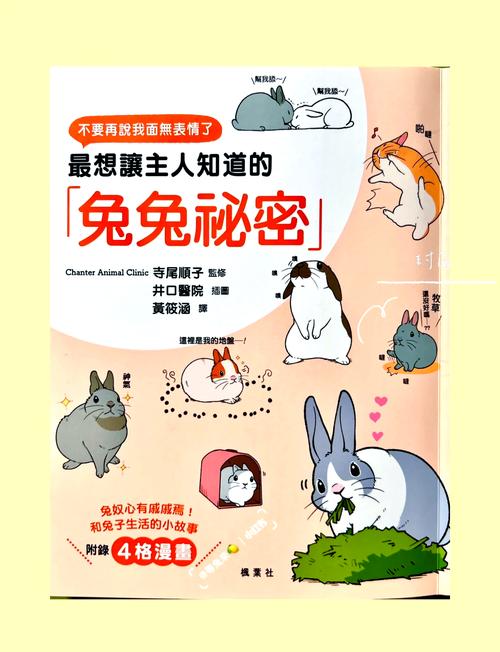 兔兔秘密花园下载地址分享：避免下载到病毒资源