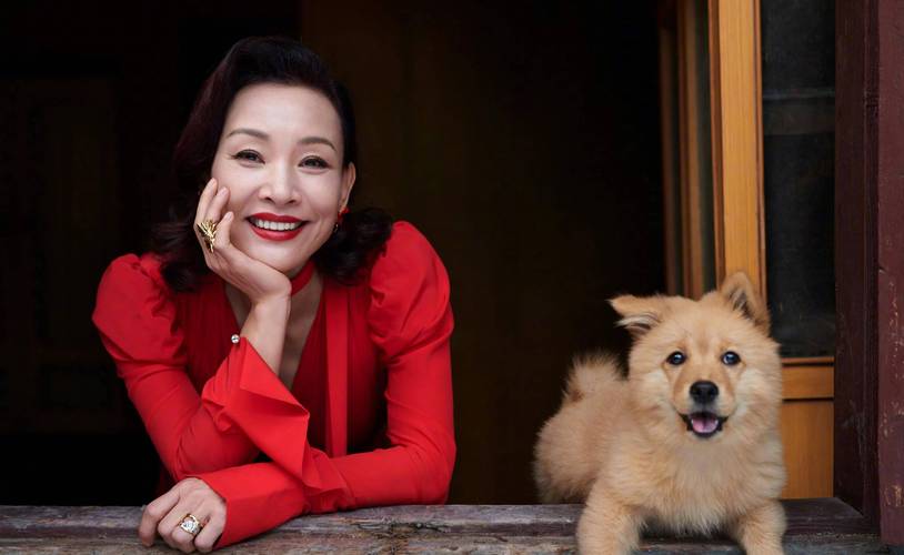 人狗情未了官网:高清完整版在线观看,免费无广告