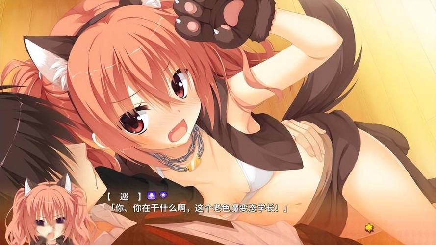 魔女复仇之夜绅士游戏:精彩剧情与华丽战斗的结合