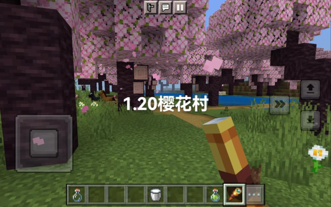 最新肉壺村游戏下载，体验最刺激的游戏内容！