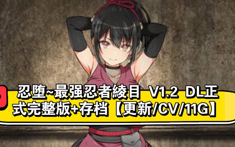 忍堕汉化版下载：安卓版游戏资源免费获取