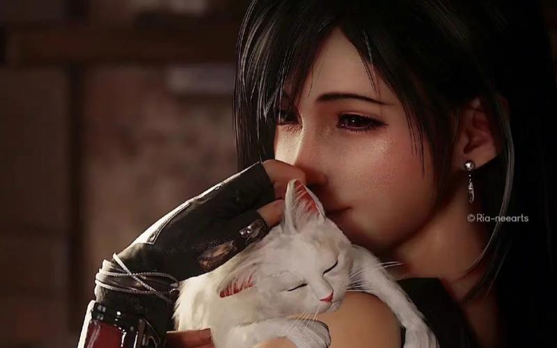 蒂法动画大全:你弟弟会喜欢的游戏合集