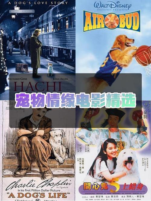 人狗情未了游戏：超刺激剧情，狗视角看家庭伦理！