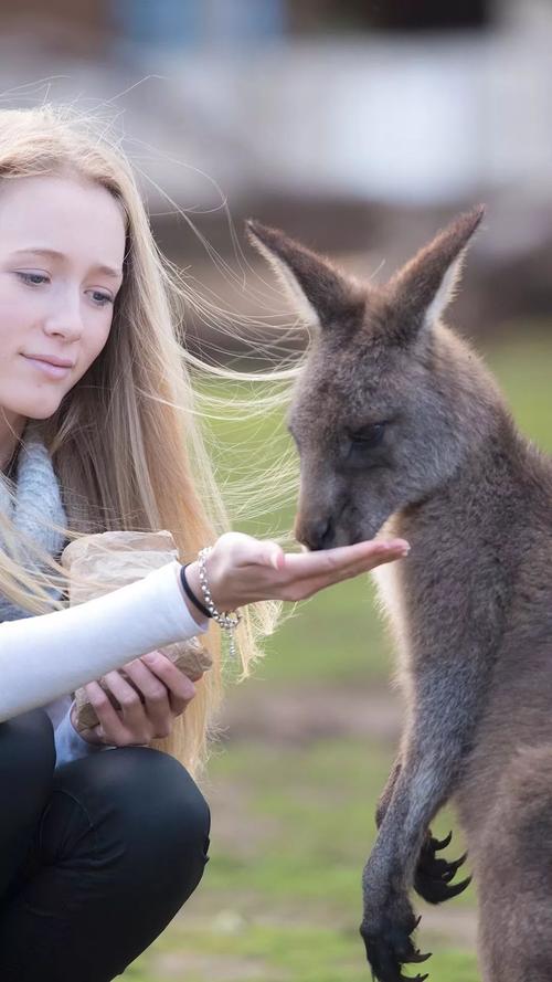 亲密接触官方网站:进入亲密接触的奇妙世界