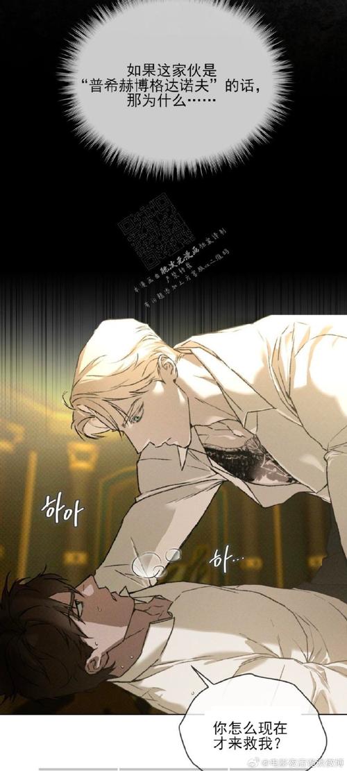 探索废土世界绅士游戏：寻找生存与爱情的意义