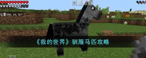 我的大学生活S3官网：玩家评价及游戏版本选择指南