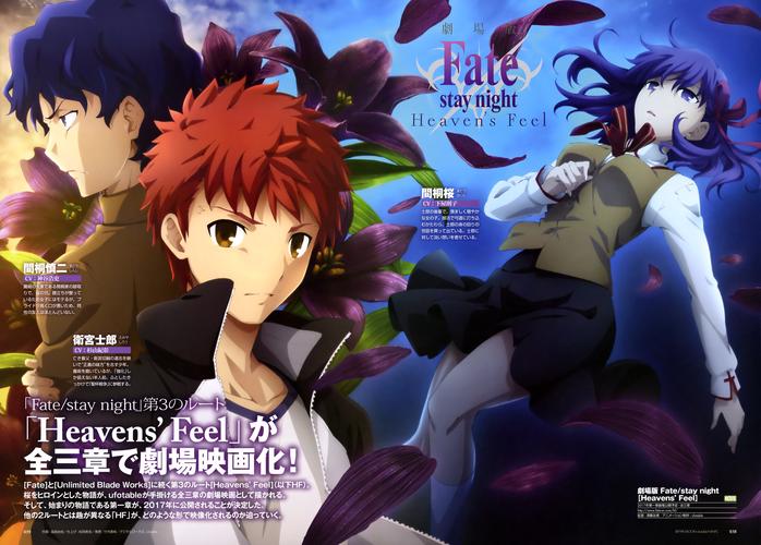 Fate DS最新版本是多少?2025最新版下载地址分享