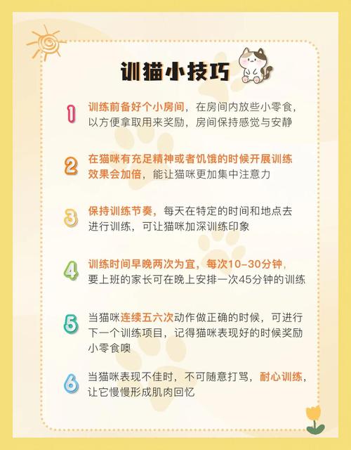 喵喵岛2游戏攻略：快速提升猫咪默契度的方法