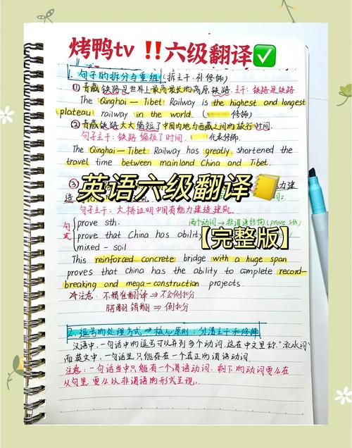 最新DANGO汉化版下载：翻译效率提升，告别翻译烦恼